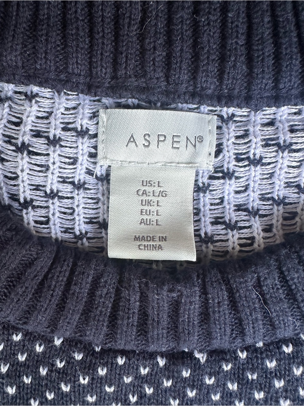 Aspen Men's Crewneck Sweater in Navy and White